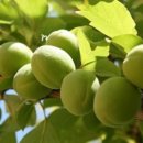 수상한공방