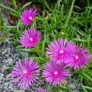 부연계곡황토방 이미지