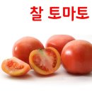토마토 이미지