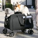 개과천선 이미지