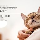 유어캣 고양이병원 이미지