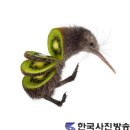 사라 디레머 초대展 ‘Animal Food’ 이미지