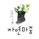 자연마중