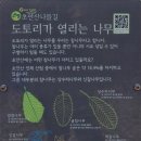 월계고등학교 이미지