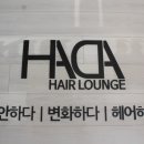 하다헤어구월