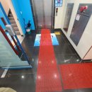 송화태권도 이미지