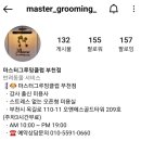 master grooming | 내돈내산. 옥길동 애견미용 [마스터그루밍클럽] 후기