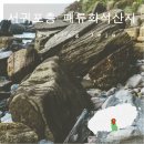 제주 서귀포층 패류화석 산지 | 제주 서귀포 가볼만한 곳 서귀포층 패류 화석산지
