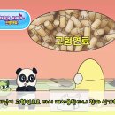 월드환경