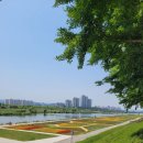 탕정그집쭈꾸미 이미지