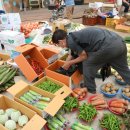 반딧불1 이미지