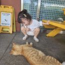 삼봉삼계탕 | 하이떼오&#39;daily (3박4일 KTX타고 급으로 온 친정나들이,완주 삼봉에 위치한 키즈다쿵2 키즈카페 방문후기.)