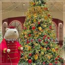 숲의 소리 | 부산 크리스마스 가볼만한곳｜신세계 센텀시티 트리 포토존 정리🎄