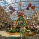 스펙타클(SPECTACLE) | 마카오 MGM 코타이 스펙터클 광장 &amp; 폴리 박물관: 아이와 함께 즐기는 실내 무료 전시와 관람 팁