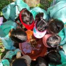 만천유치원 이미지