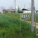 도일목장 Daum카페