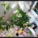 무성약국 이미지