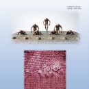 운중로137번길 이미지