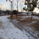 대교초교 이미지