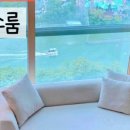 캐리비안민박 네이버블로그