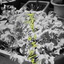 풀잎하우스 이미지