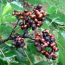 해소한의원 이미지