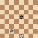 체크메이트 룩 이미지