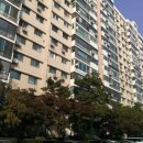 압구정-214 이미지