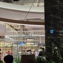 더달달구리 | 럭키드래곤 더현대대구 후기(메뉴,가격 정리)일본식 중화요리의 매력