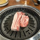 명성도야지 이미지