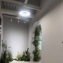 미투빌딩 | [W.4] 압구정 드레스투어 누벨드블랑 계약 후기 (실크 &amp; 맑은 비즈 맛집)