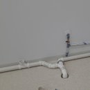 하나애견샵 이미지