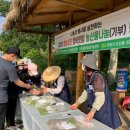 싱싱농산물 - 관악구 관악로24길 49 | 싱싱농산물