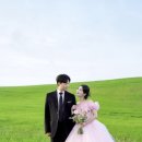 라벨르제니 네이버블로그