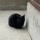 투다리(햇빛점) | 몸병 정병 둘중 하나만해라