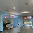 아쿠아동물병원 | [내돈내산] 일산 아이랑 실내가볼만한곳 아쿠아플라넷 할인정보·솔직후기