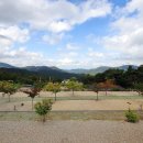 한티 별빛아래 관광농원 야영장 이미지