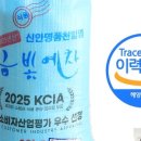 법인금빛