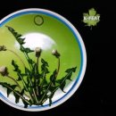 와우푸드 이미지