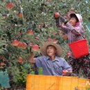 삼애농원 이미지