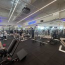 테디 케이짐 이미지