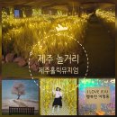 빌세탁소 | 제주도 애월 가볼만한곳 제주홀릭뮤지엄 후기 제주 실내놀거리