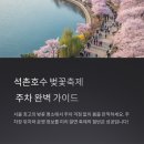 천지공영주차장 북쪽 | 석촌호수데이트 벚꽃축제, 석촌호수 주차장만 알아도 반은 성공석