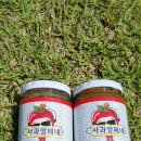 애플빌