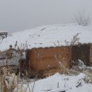 고래농장 이미지