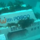 포스코 앞 이미지