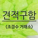 견적 구합니다 (눈주목/용버들/버즘나무-플라타너스/블루엔젤) 이미지