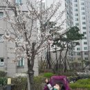 슈퍼맨소아청소년과의원 이미지