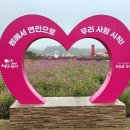 행복꽃농원 - 8642 | 행복꽃농원