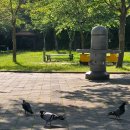 죽림 내죽도공원 이미지